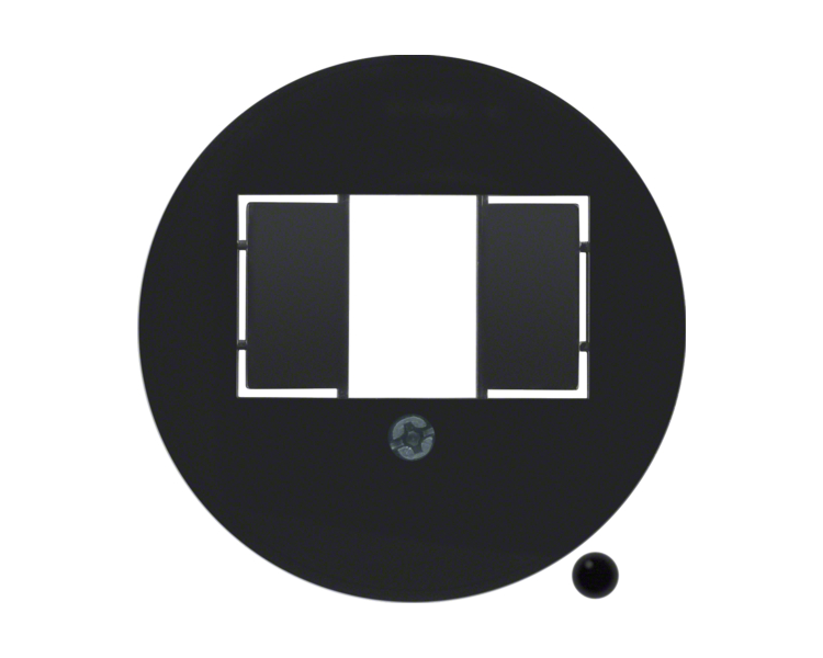 Serie 1930/Glas Płytka czołowa do gniazda głośnikowego i ładowania USB, czarny Berker 104001