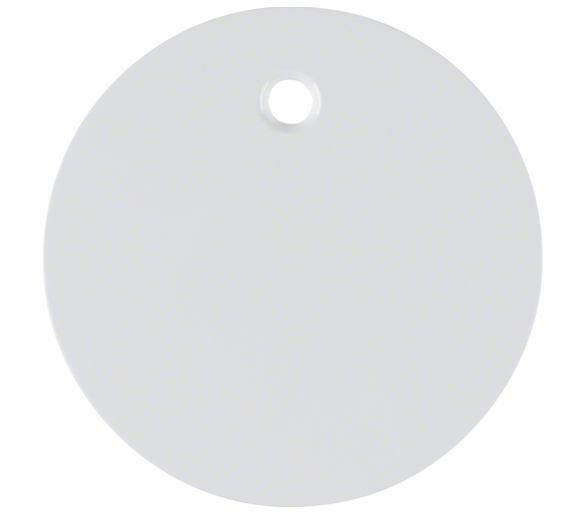 R.1/R.3 Płytka czołowa do łącznika cięgłowego biały Berker 11462089