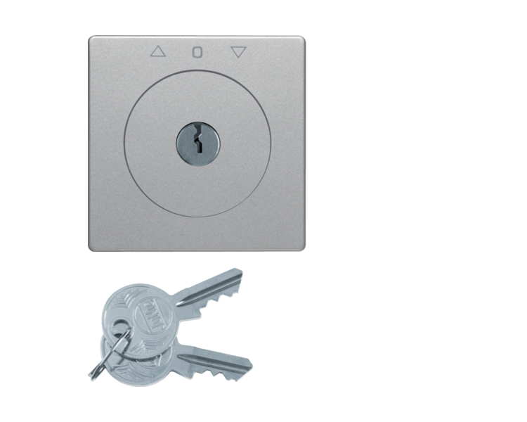 Q.x Płytka czołowa z kluczem do łącznika żaluzjowego na klucz alu, aksamit Berker 1081608400