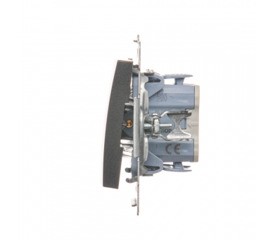 Łącznik jednobiegunowy (moduł) 10AX 250V, szybkozłącza, antracyt, metalizowany DW1.01/48