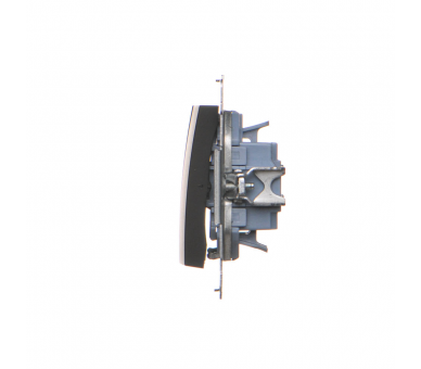 Łącznik potrójny (moduł) 10AX, 250V, szybkozłącza, czarny DW31.01/49