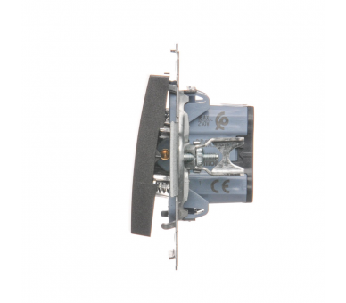 Przycisk "dzwonek" (moduł) 16AX 250V, zaciski śrubowe, antracyt, metalizowany DD1A.01/48