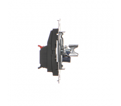 Gniazdo głośnikowe 2-krotne z polem opisowym (moduł). Przekrój przewodów dla wejścia i wyjścia 2,5 mm2, czarny DGL32.01/49