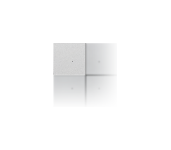 Klawisz personalizowany, IP20, aluminium mat Simon 55 TKE4X/143