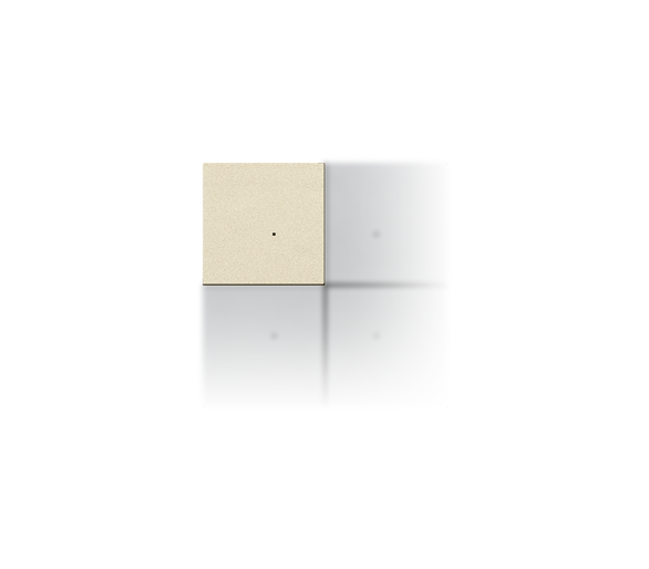 Klawisz personalizowany, IP20, szampański mat Simon 55 TKE4X/144