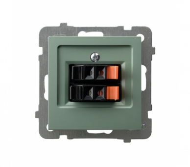 Gniazdo głośnikowe podwójne Zielony mat Ospel As