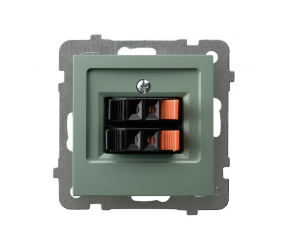 Gniazdo głośnikowe podwójne Zielony mat Ospel As