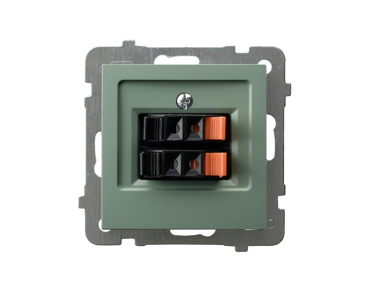 Gniazdo głośnikowe podwójne Zielony mat Ospel As